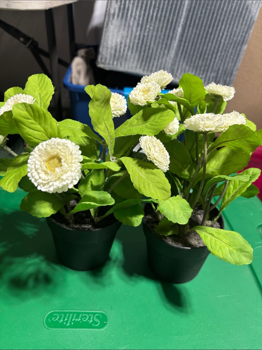 Faux Flowers